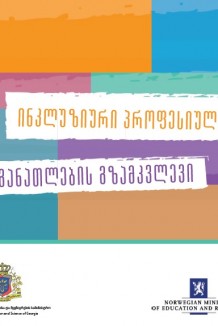 ინკლუზიური პროფესიული განათლების გზამკვლევი